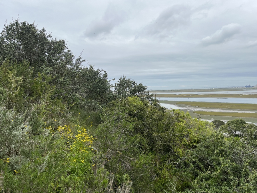 0 Bedroom Property for Sale in Amsterdamhoek Eastern Cape